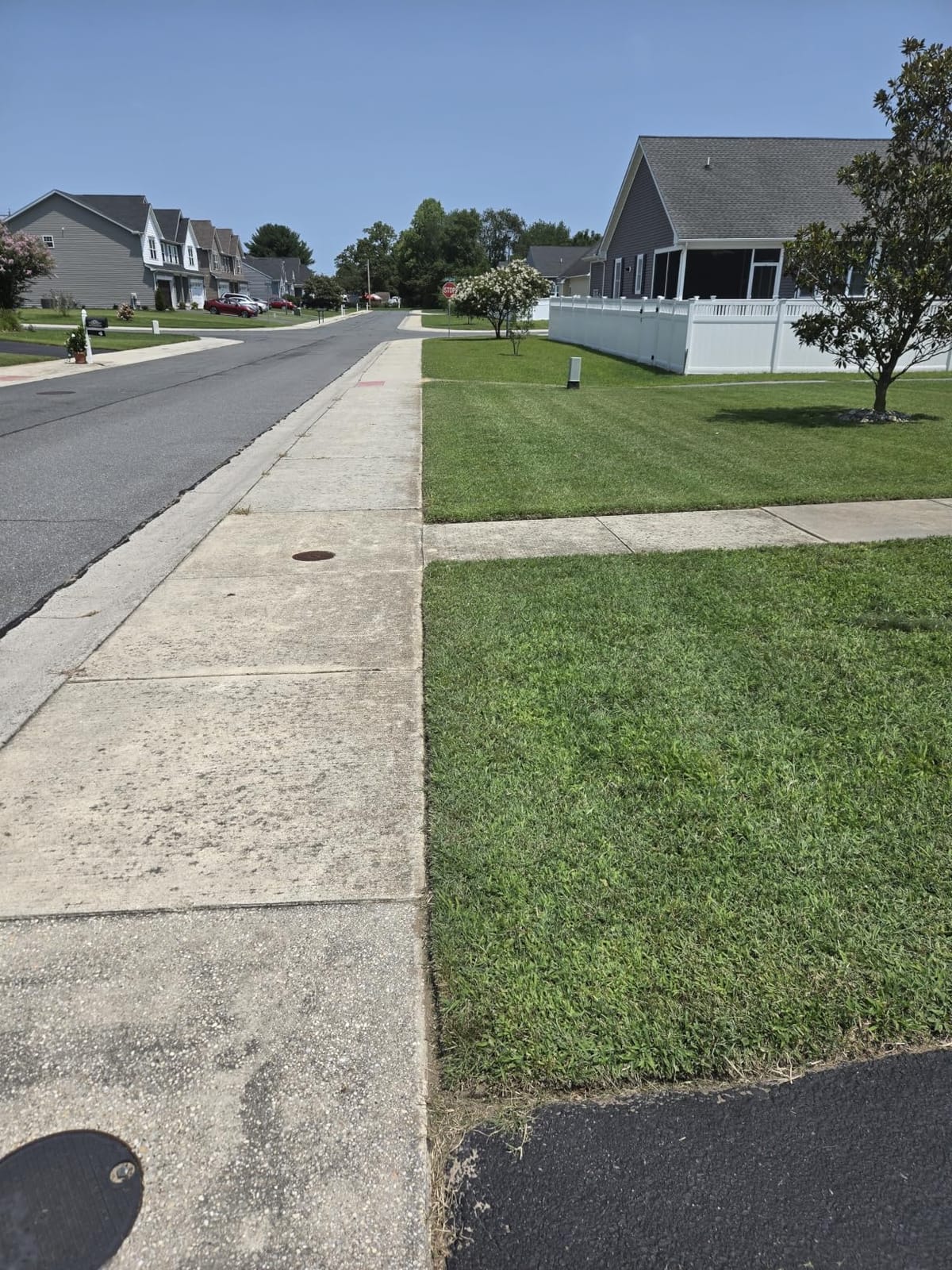 EGO MHC1603 Multi-Head Combo Kit 16-Inch 56-Volt Carbon Fiber String Trimmer with POWERLOAD™ & 8-Inch Carbon Fiber Edger Attachment & 56-Volt Power Head, 4.0Ah Battery and 320W Charger Included customer photo 2