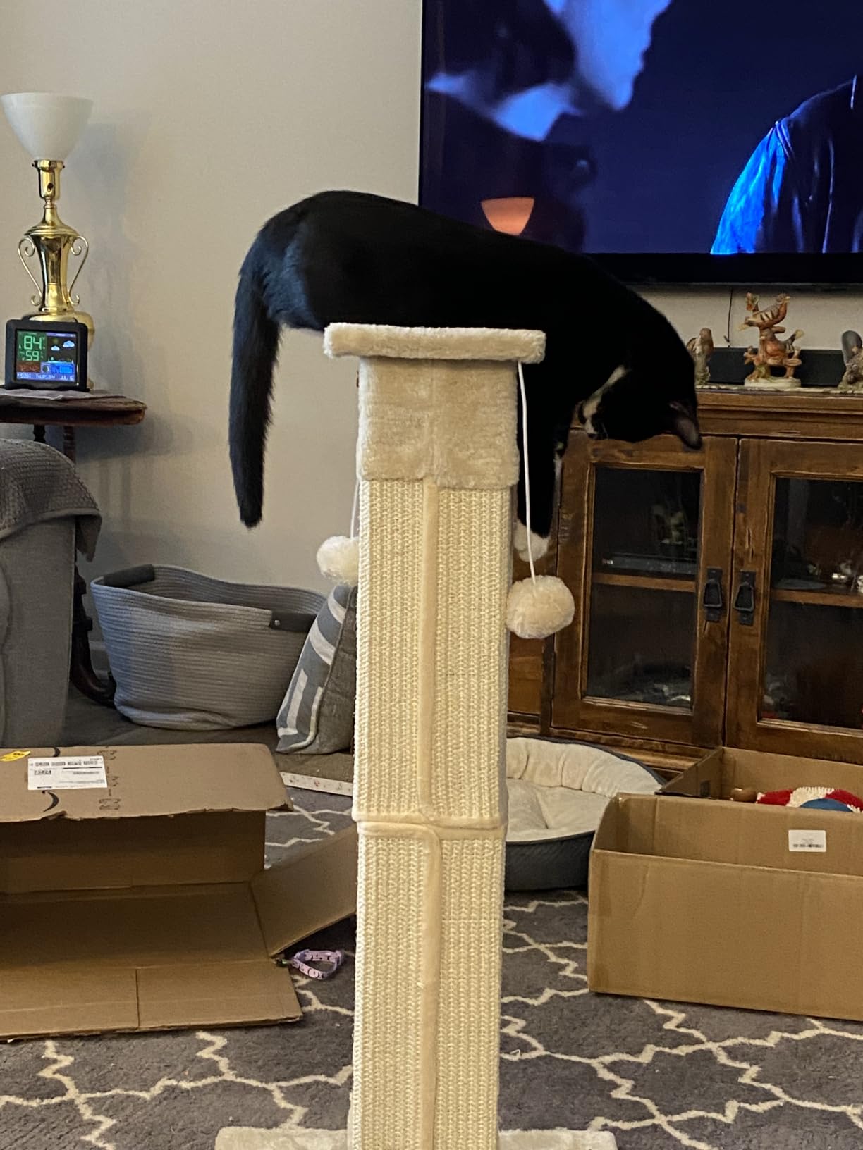 SOCATER Cat Scratching Post 33 Inch Nature Sisal Cat Scratch Post for Indoor Cats, Large Cat Scratcher Protect Your Furniture, for All Breeds customer photo 1