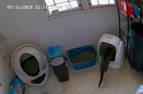 Meowant Self-Cleaning Cat Litter Box, 75L Extra Large Open-Top, APP Control customer photo 2