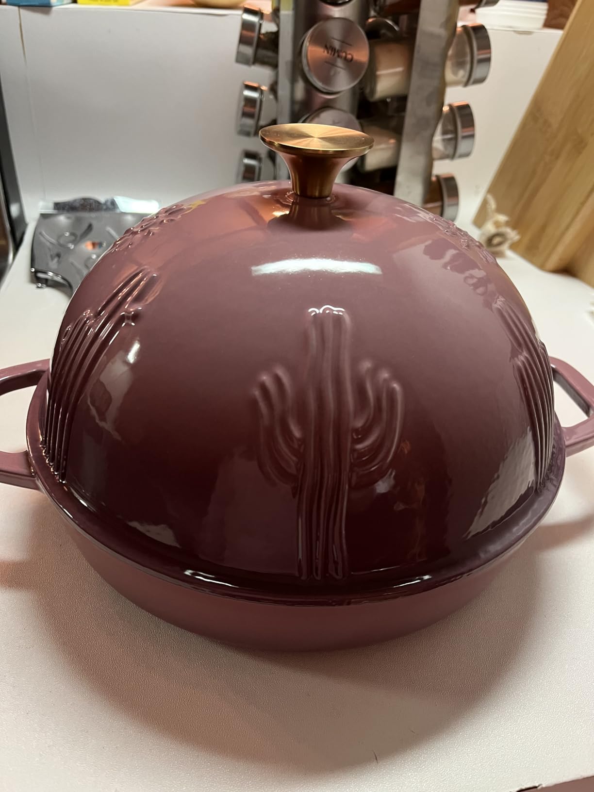 Flavehc Bread Oven Cast Iron Bread Dutch Oven with Cloche Lid for Bread Baking Darkcyan Enameled Cast Iron Bread Oven with Dome Lid for Sourdough, 9.8 Inches customer photo 1