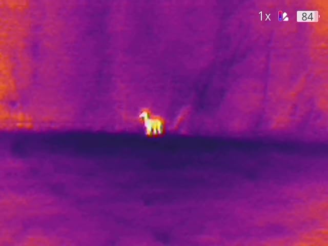 TOPDON TS004 Thermal Imaging Monocular, 13mm 50Hz Night Vision customer photo 2