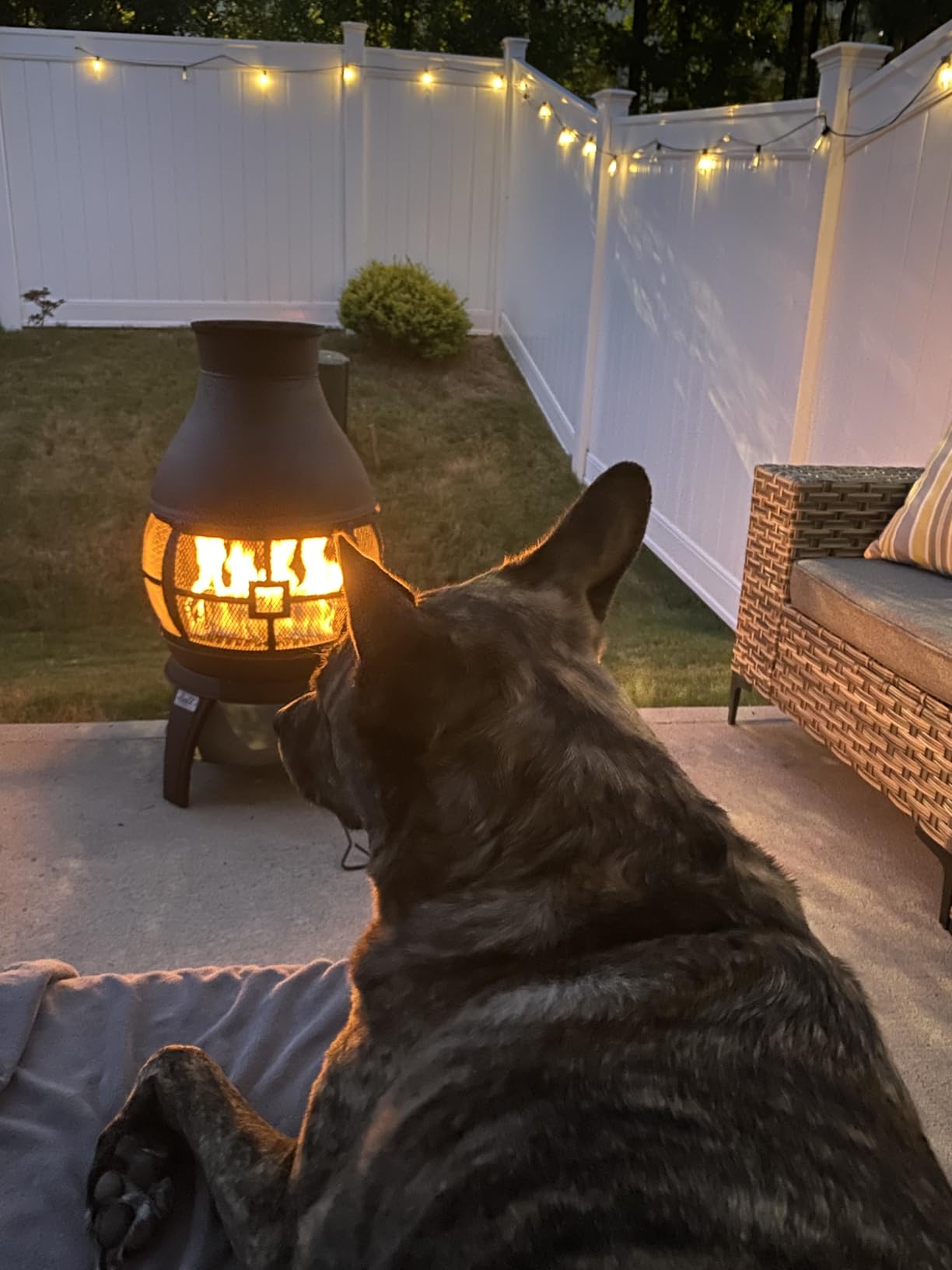 BALI OUTDOORS Fire Pit Wood Burning Chiminea Outside customer photo 2