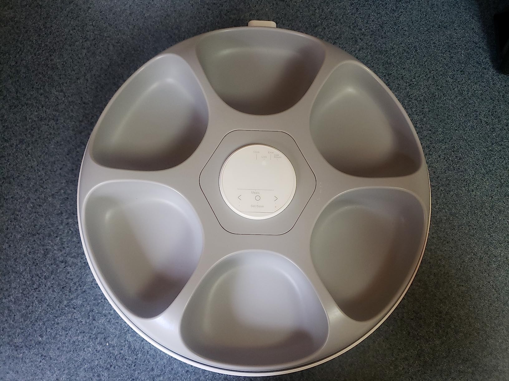 iPettie Donut Frost WiFi 6 Meal Automatic Wet Food Feeder with Ice Packs customer photo 1