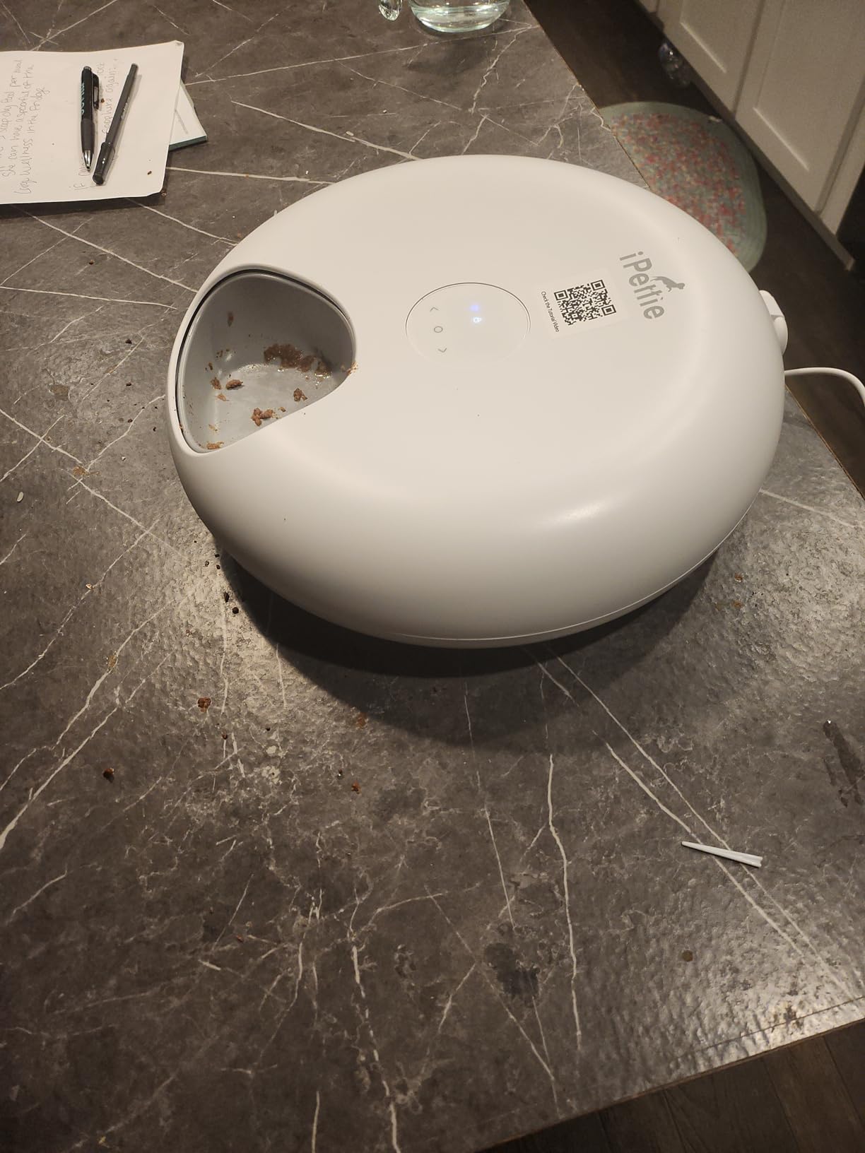 iPettie Donut Frost WiFi 6 Meal Automatic Wet Food Feeder with Ice Packs customer photo 2