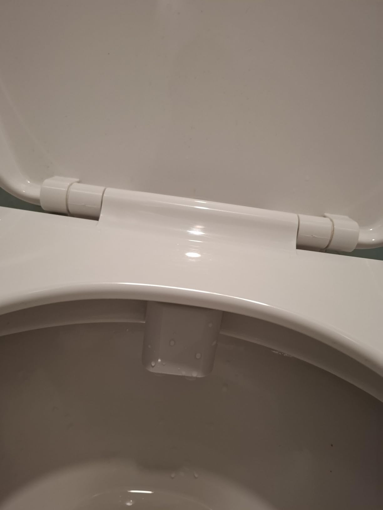 WATERLACE Ultra-Slim Bidet Attachment for Toilet - Dual Nozzle, Rear & Feminine Wash, Self-Cleaning, Adjustable Cold Water Pressure, Non-Electric Bidet Toilet Seat for Bathroom, Easy Install (Chrome) customer photo 1