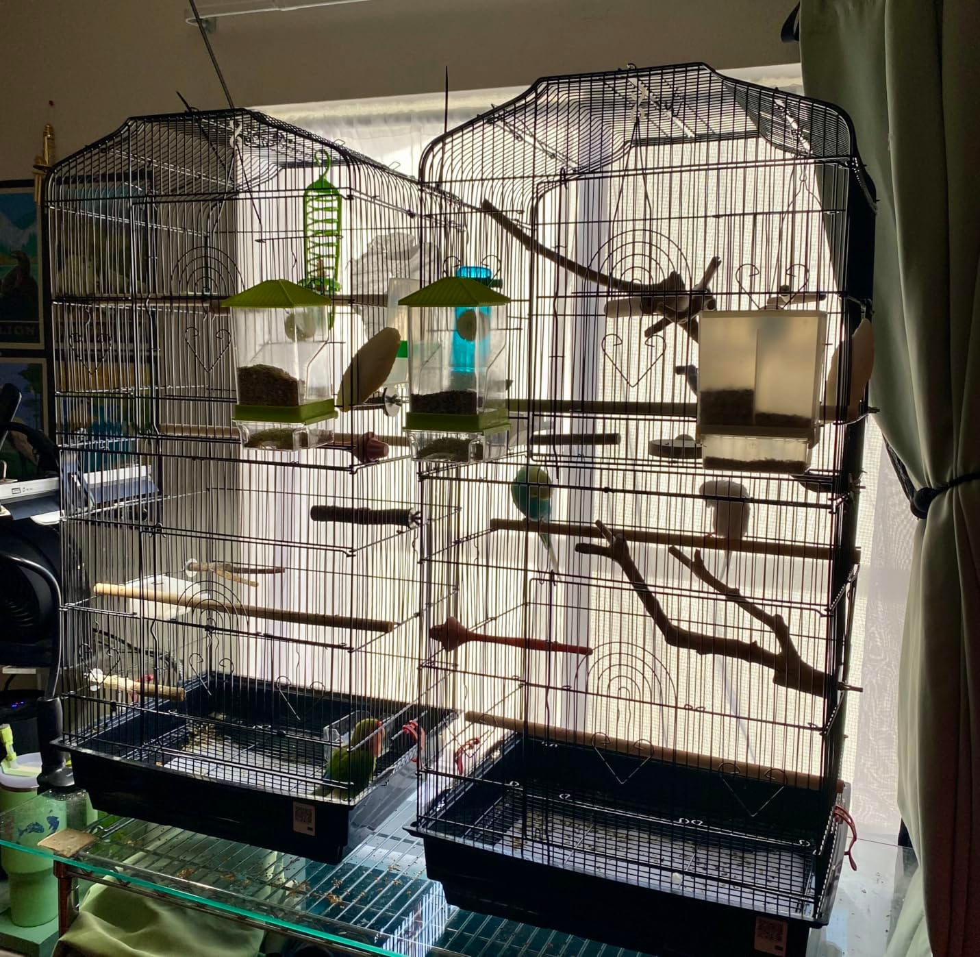 VEVOR 64-inch Open Top Large Parrot Bird Cage with Detachable Rolling Stand for Parakeets Finches Canaries Lovebirds Cockatiels Budgies Small Quaker Conures Flight Birdcage with Swing and Perch customer photo 2