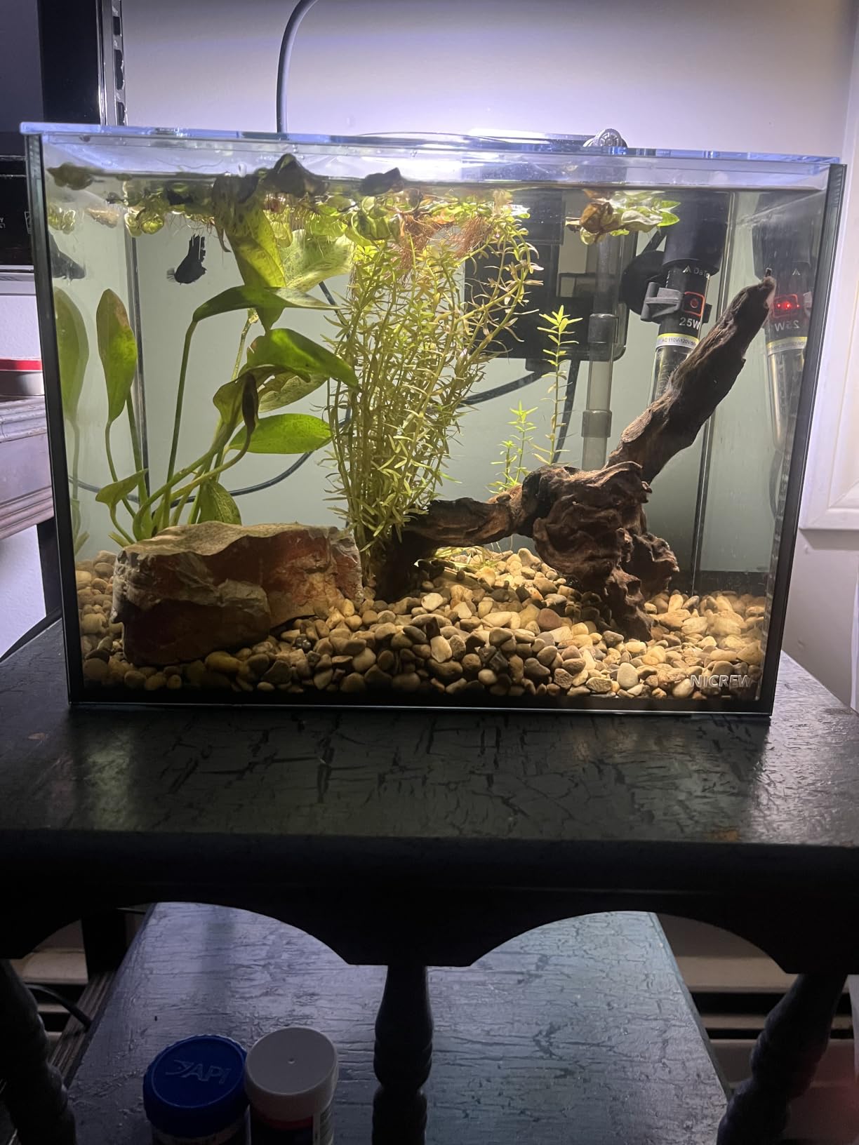 NICREW 2.5 Gallon Nano Nature Aquarium Kit Betta Fish Tank, Complete, Black customer photo 1