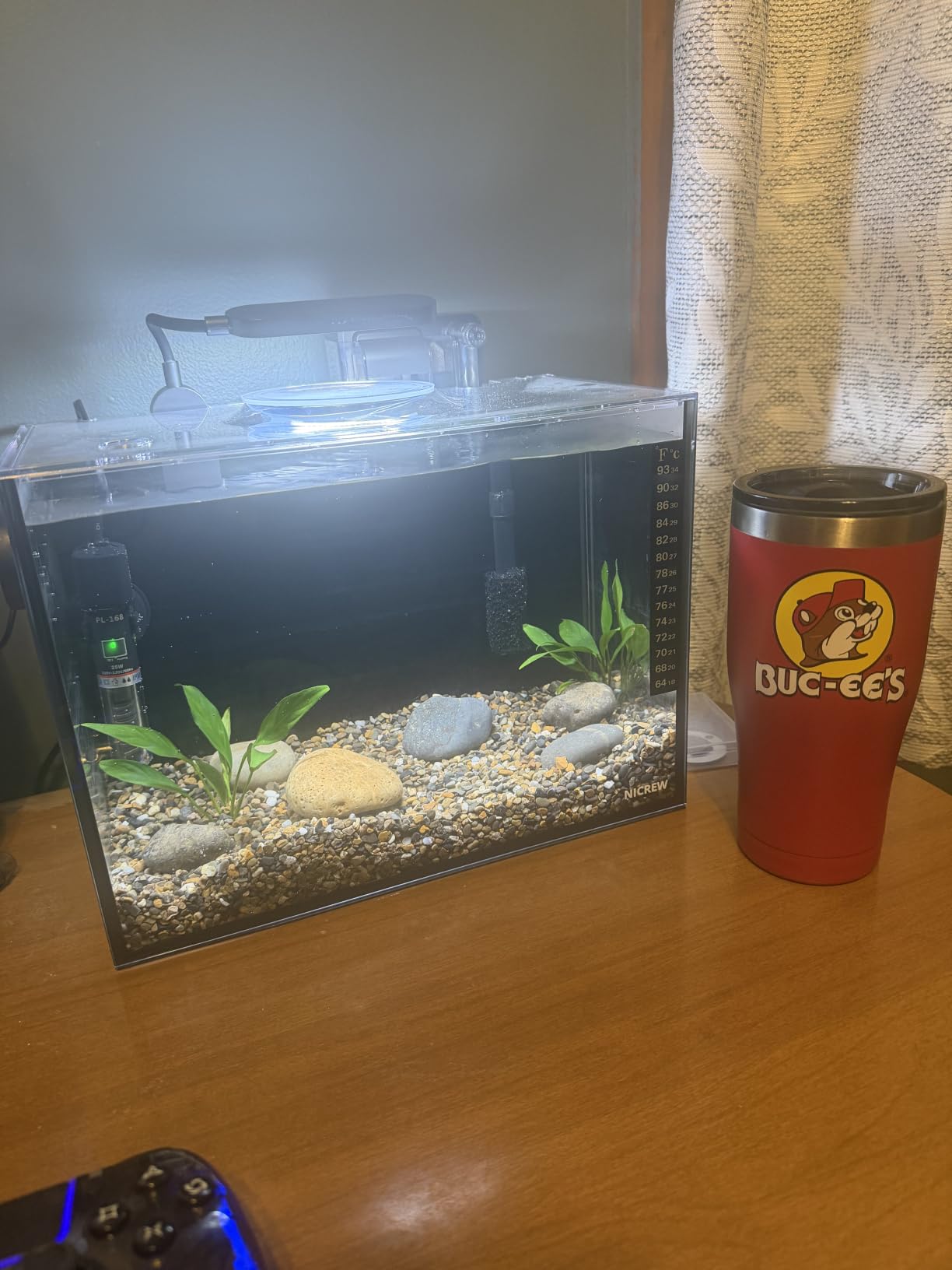 NICREW 2.5 Gallon Nano Nature Aquarium Kit Betta Fish Tank, Complete, Black customer photo 2