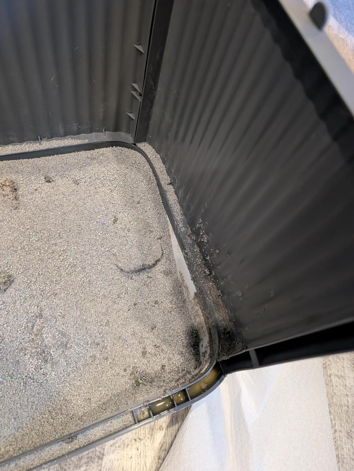 Covered Cat Litter Box with Lid for Kitten to Medium, Grey-White customer photo 1
