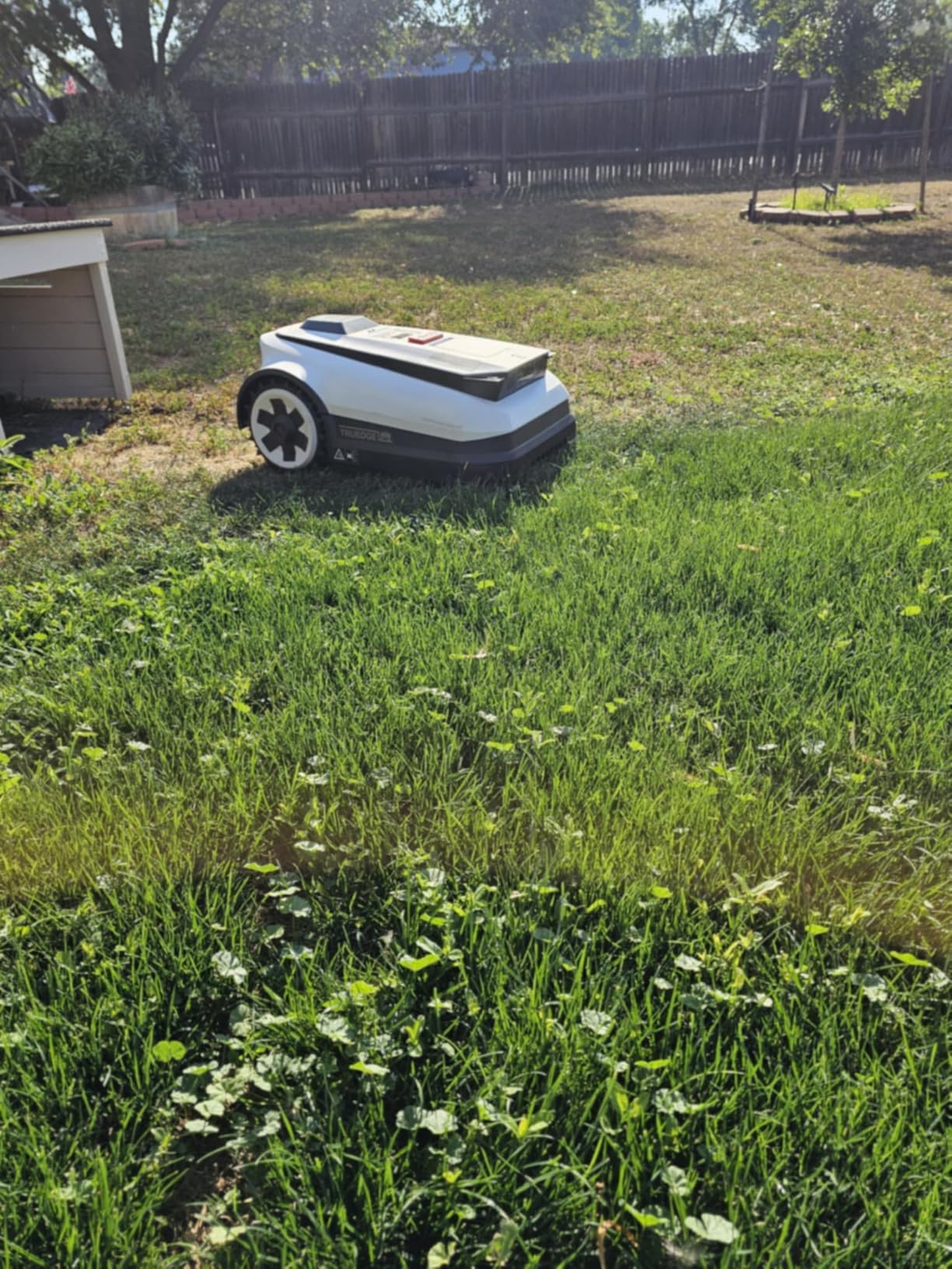 ECOVACS Goat A2500 RTK Robot Lawn Mower, Lidar-Enhanced RTK+Vision Navigation, Auto-Mapping, Dual Blades, Edge Precision Mowing, Perimeter Wire-Free, Suitable for 5/8 Acres Lawn, 50% Slope Capability customer photo 2