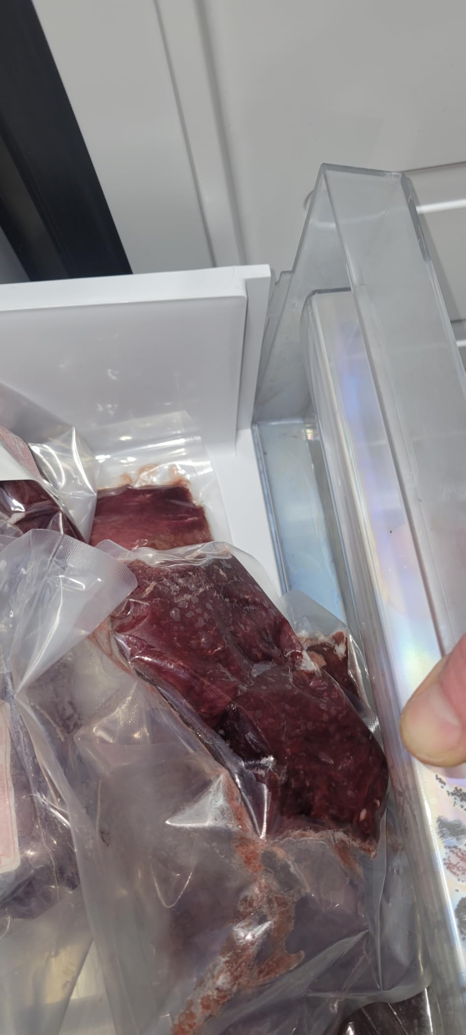 BANGSON 7.0 Cu.ft Upright Freezer, Convertible Freezer/Refrigerator, Silver customer photo 1