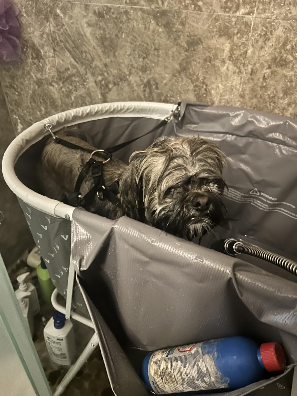 VEVOR Portable Dog Bathtub Foldable Pet Shower Station with Drain, Grey customer photo 1