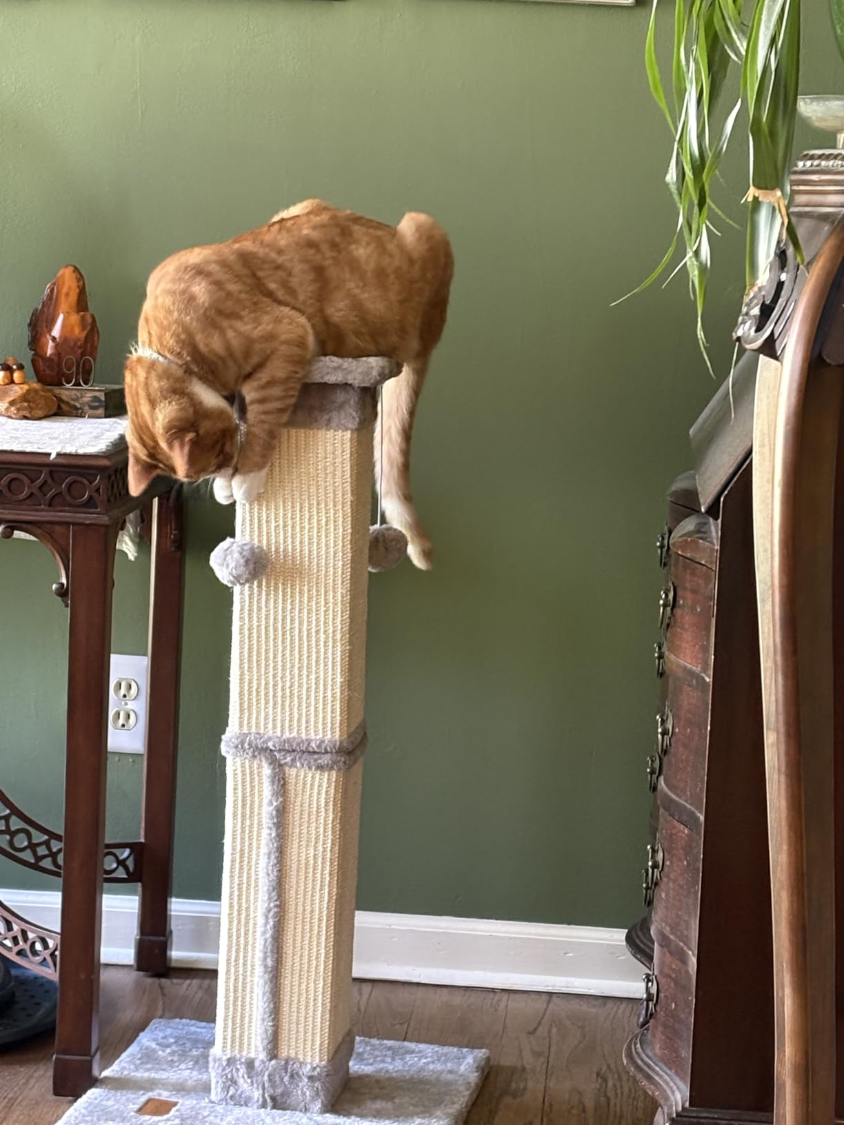 Cat Scratching Post 33 Inch for Indoor Cats, Tall Cat Scratcher with 100% Natural Sisal, Large Stable Base & 5 Inch Wide Post, Cat Scratch Post for Large Cats, Full-Body Stretching, Grey customer photo 2