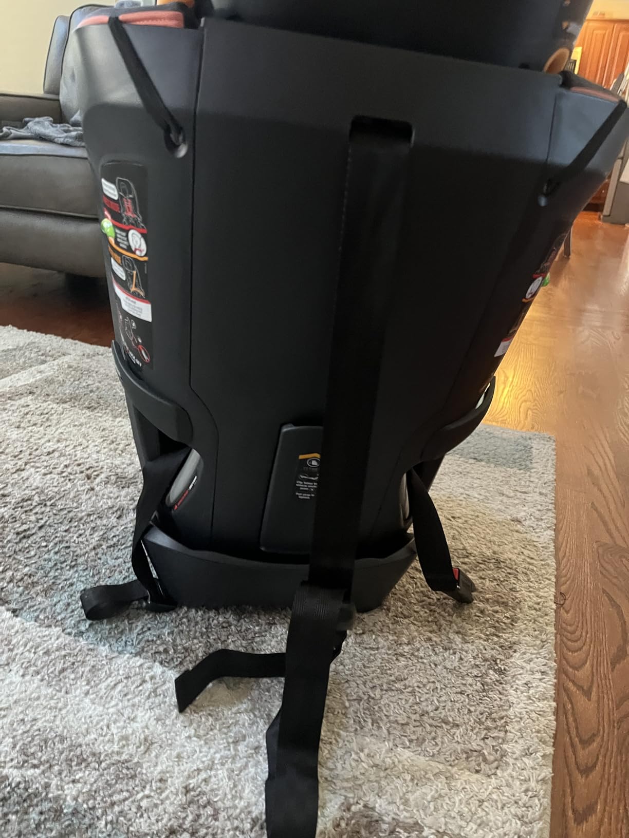 Chicco MyFit 2-in-1 Harness + High Back Booster Car Seat customer photo 1