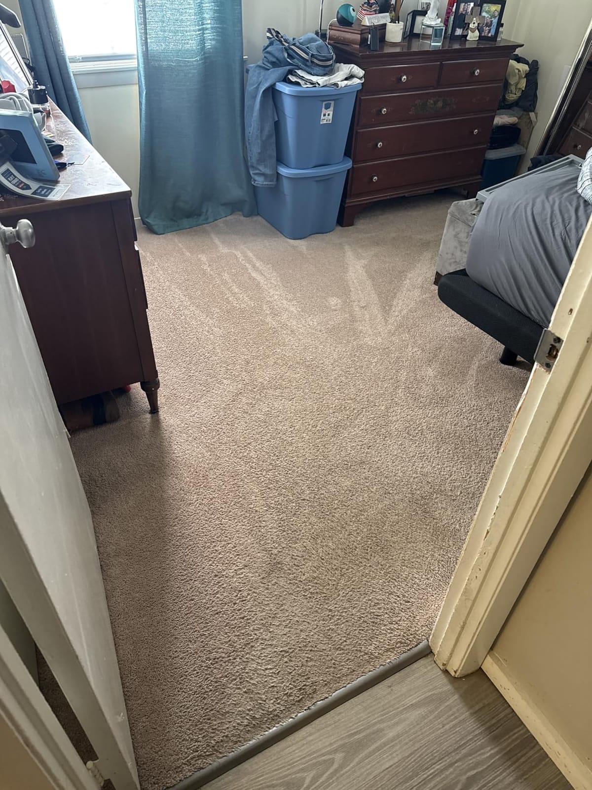 Shark® PowerDetect® Pet Plus Clean & Empty Cordless Stick Vacuum, IP3253 customer photo 2