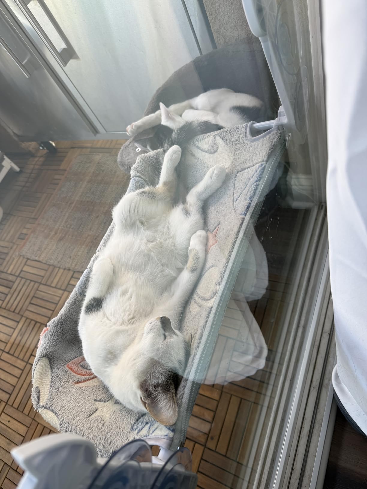 HiPetpy 2-Pack Large Cat Window Perch, Cordless Foldable Cat Hammock customer photo 1
