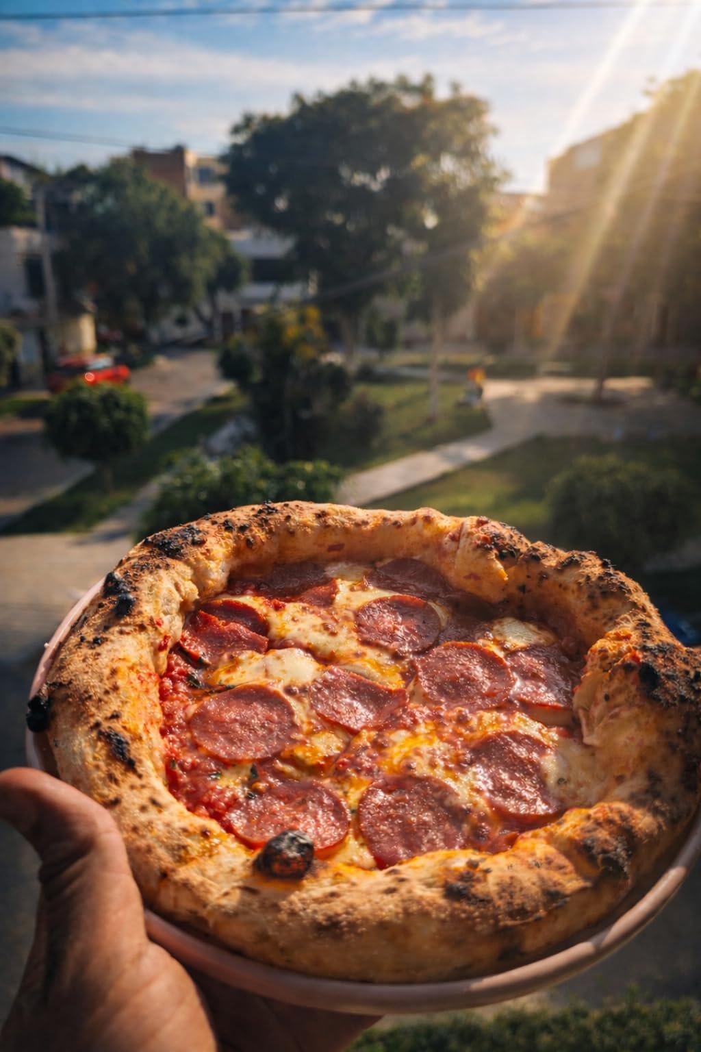 Gozney Tread Pizza Oven, Make 12” Pizzas Fast, Heat up to 950F - Olive customer photo 2