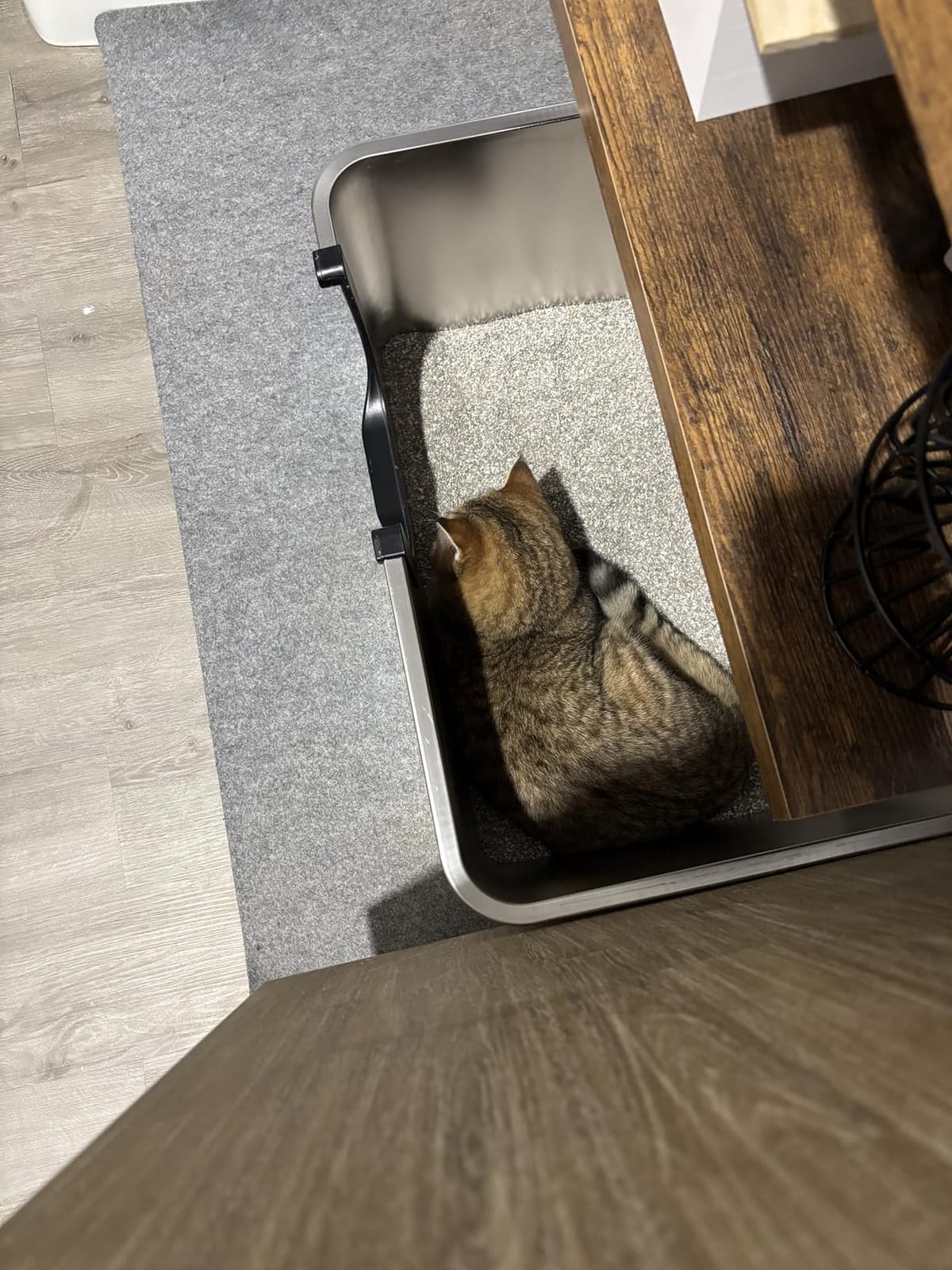 Yangbaga XXL High Sided Stainless Steel Litter Box for Cats customer photo 2