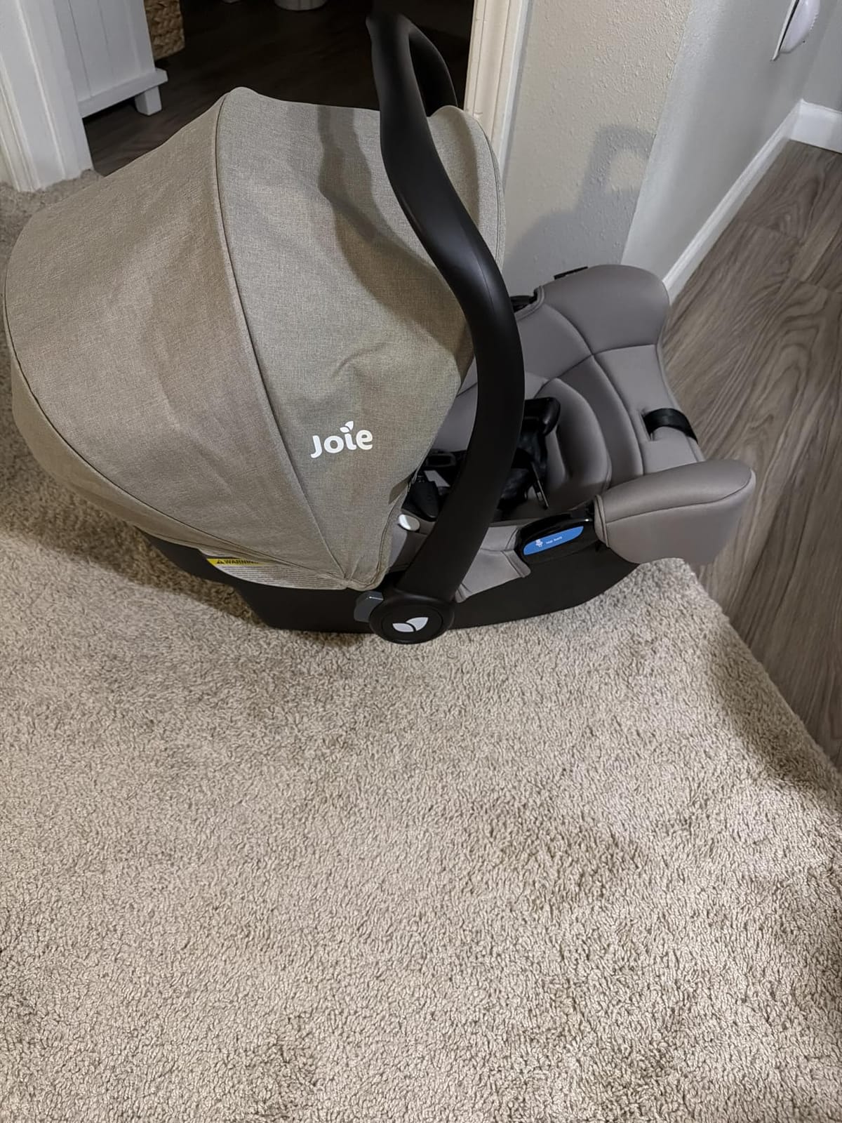 Joie Rue Infant Car Seat & Anti-Rebound Base, Lightweight customer photo 1