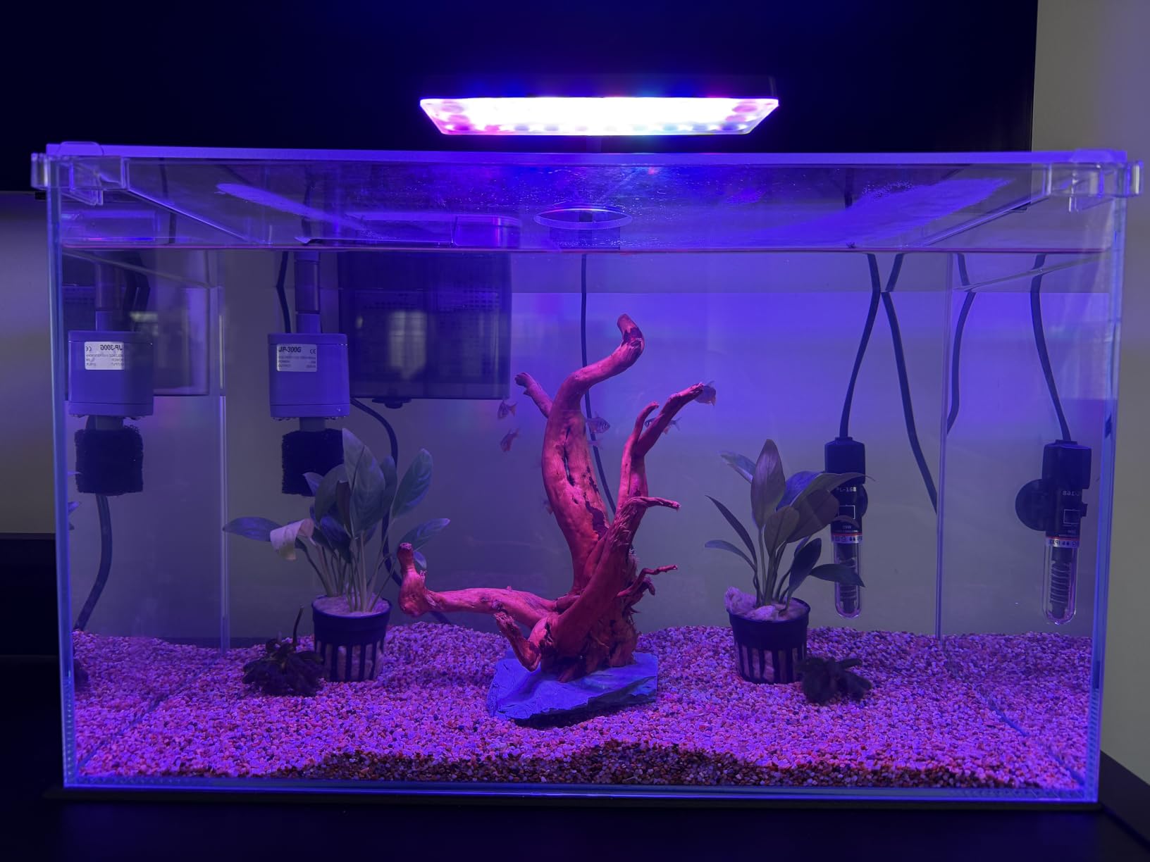 Vimvins 3 Gallon Glass Small Fish Tank, Betta Fish Tank Starter Kit with Filter, Lights,Lid. customer photo 1