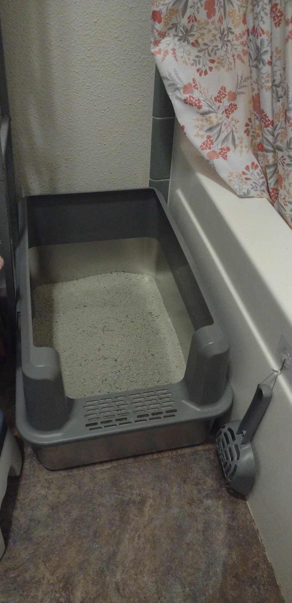 XXL Stainless Steel Litter Box with Lid for Multiple & Big Cats customer photo 1