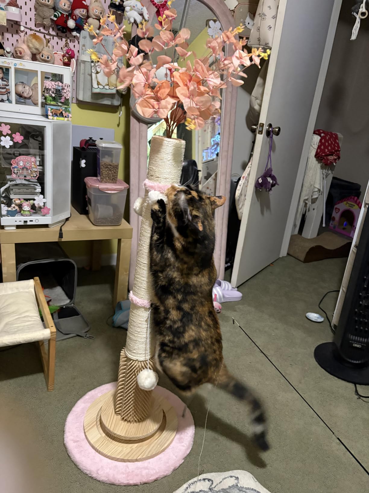 45'' Extra Tall Cat Scratching Post for Large,Heavy Duty Scratcher Tree customer photo 2