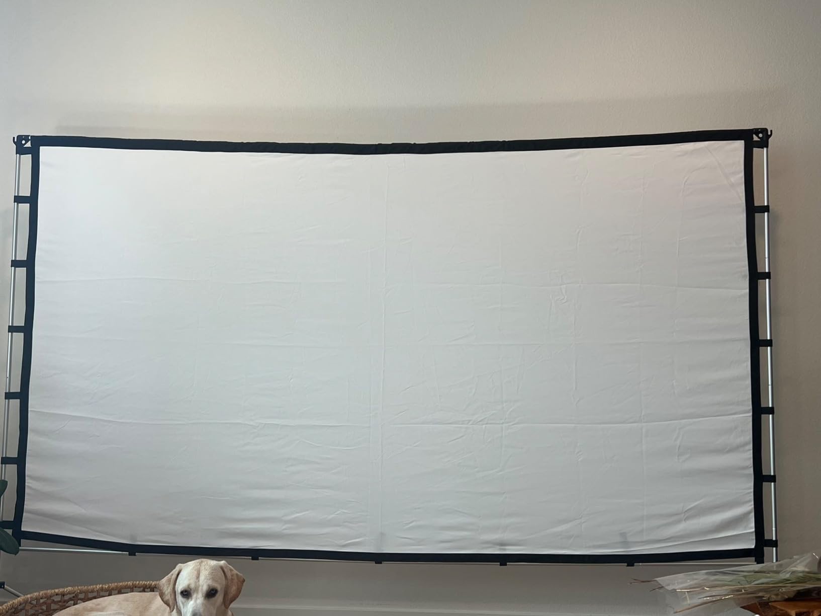 150 Inch Projector Screen with Stand, 16:9 4K HD Portable Outdoor/Indoor Movie Screen, Anti-Wrinkle Polyester Fabric with Carry Bag for Home Theater Backyard Camping customer photo 2