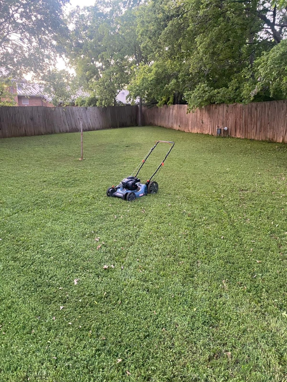 SENIX 144 cc Gas Lawn Mower, 21 inch 2-in-1 Push with Mulching and Side Discharge, 4-Cycle Engine, 6 Position Cutting Height Adjustment for Yard and Garden customer photo 1