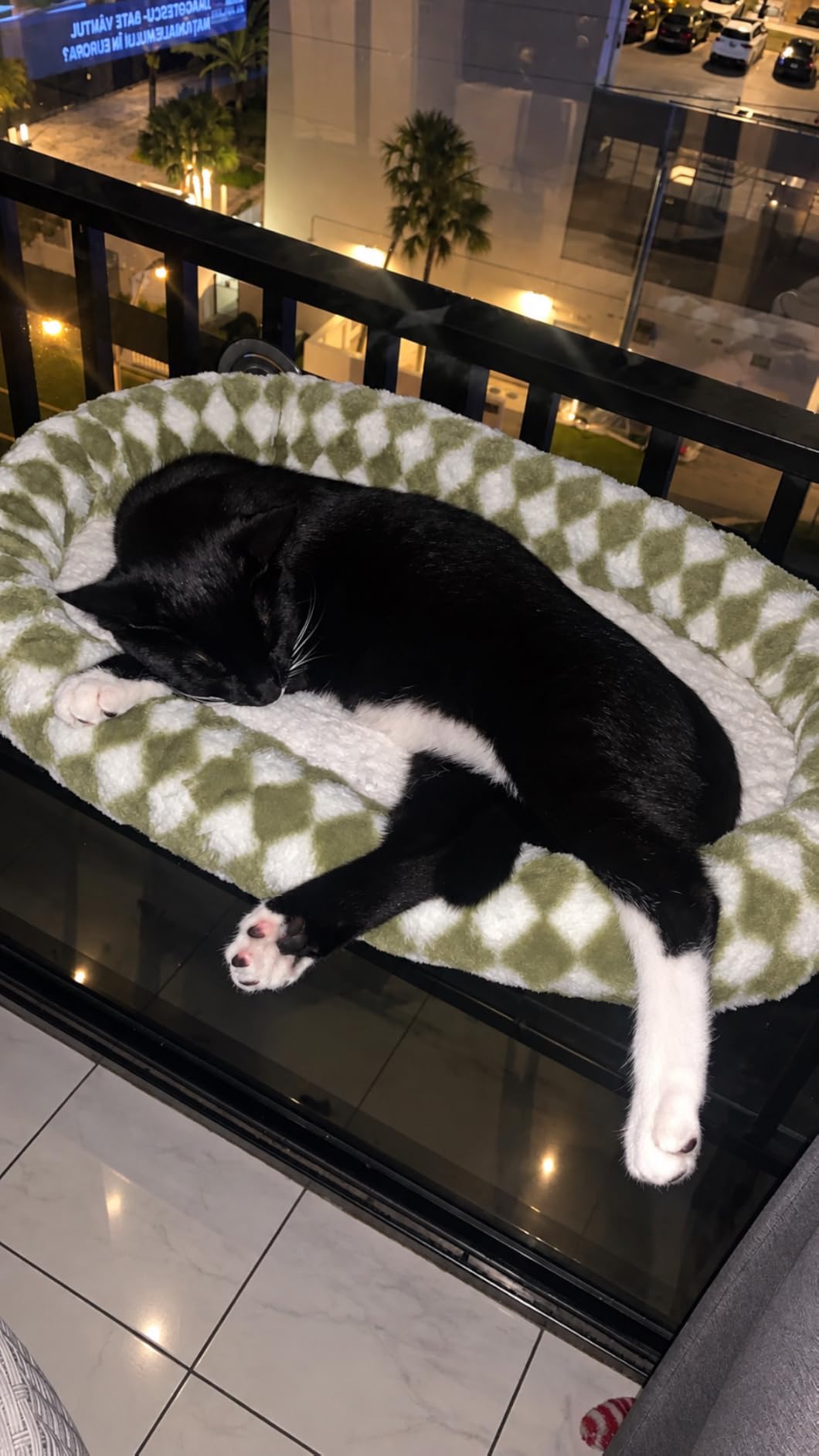 Sunhoo Foldable Cat Window Perch, Large Suction Cup Kitty Hammock, Green customer photo 2
