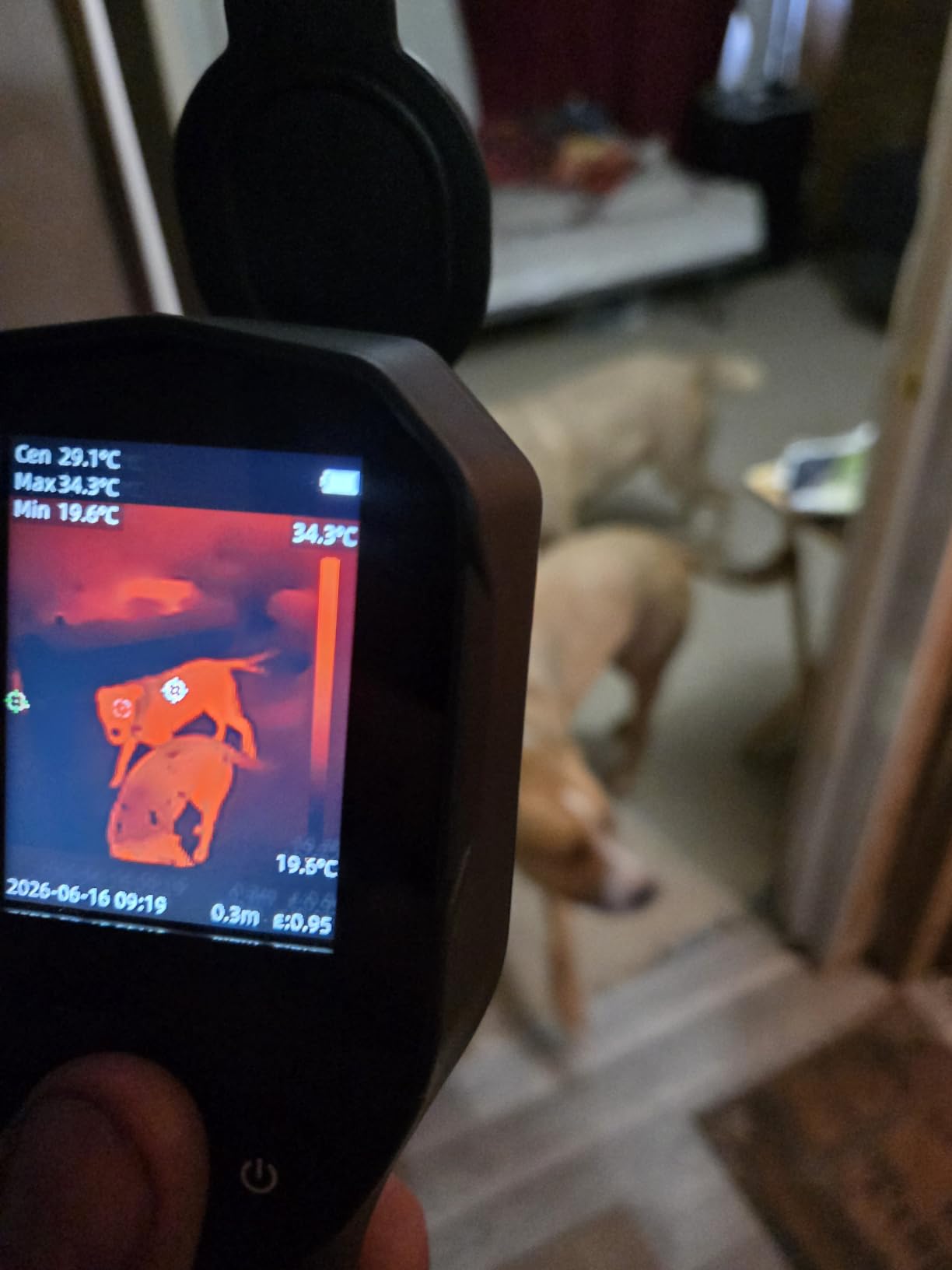 Thermal Camera, 240 x 240 TISR Resolution for Home Inspection customer photo 1