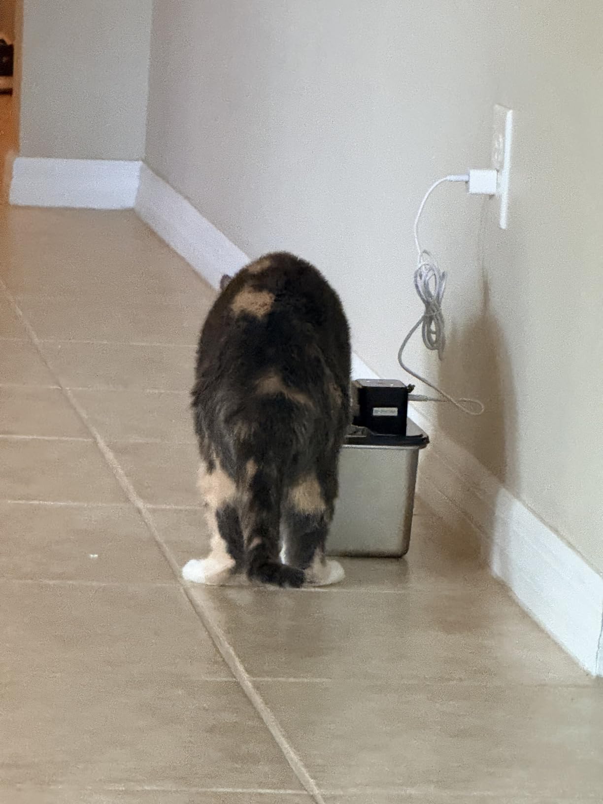Cordless Cat Water Fountain : [Visual Filter] & [Heavy-Duty Stainless Steel] 3.2L/108oz, FEELNEEDY- Premium, Durable Design, 4000mAh Battery Operated Pet Fountain with Sensor, FN-W17 for Cats and Dogs customer photo 1