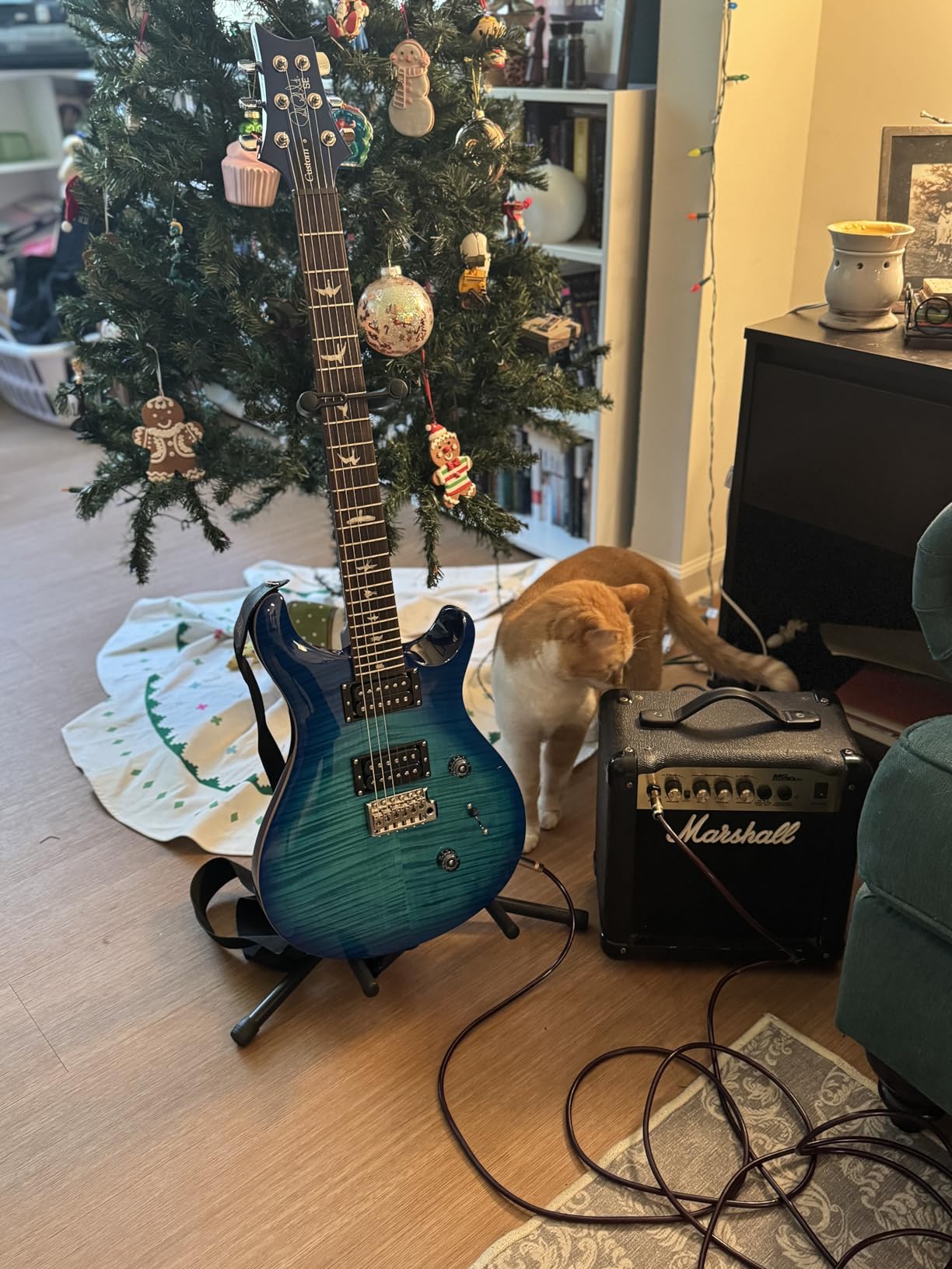 PRS SE Custom 24 Exclusive, Orange Tiger Smokeburst customer photo 2