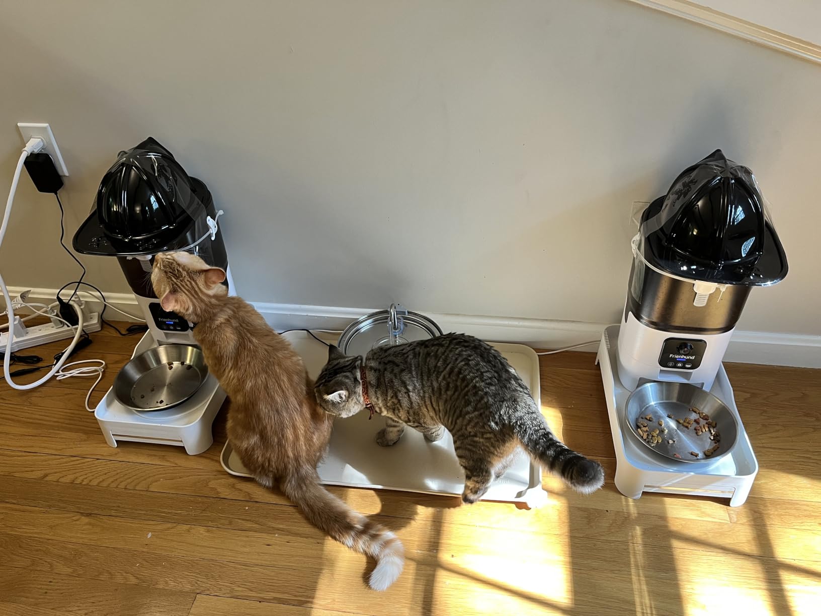 Frienhund Automatic Cat Feeder with Two 1080P Camera for 2 Cats: 7L Automatic Dog Feeder with Night Vision & Slow Feed, 5G WiFi Auto Cat Food Dispenser for Multiple Pet,Detachable for Clean(ACF180W-C) customer photo 2