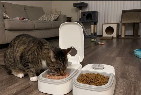 Automatic Cat Feeder, 2 Automatic Cat Feeder Wet Food, 48h Timed 700ml Cats Food Dispenser with 2 Ice Packs, Pet Feeder Automatics for Puppies and Kittens, Dog Feeders Automatics for Wet and Dry Foods customer photo 2