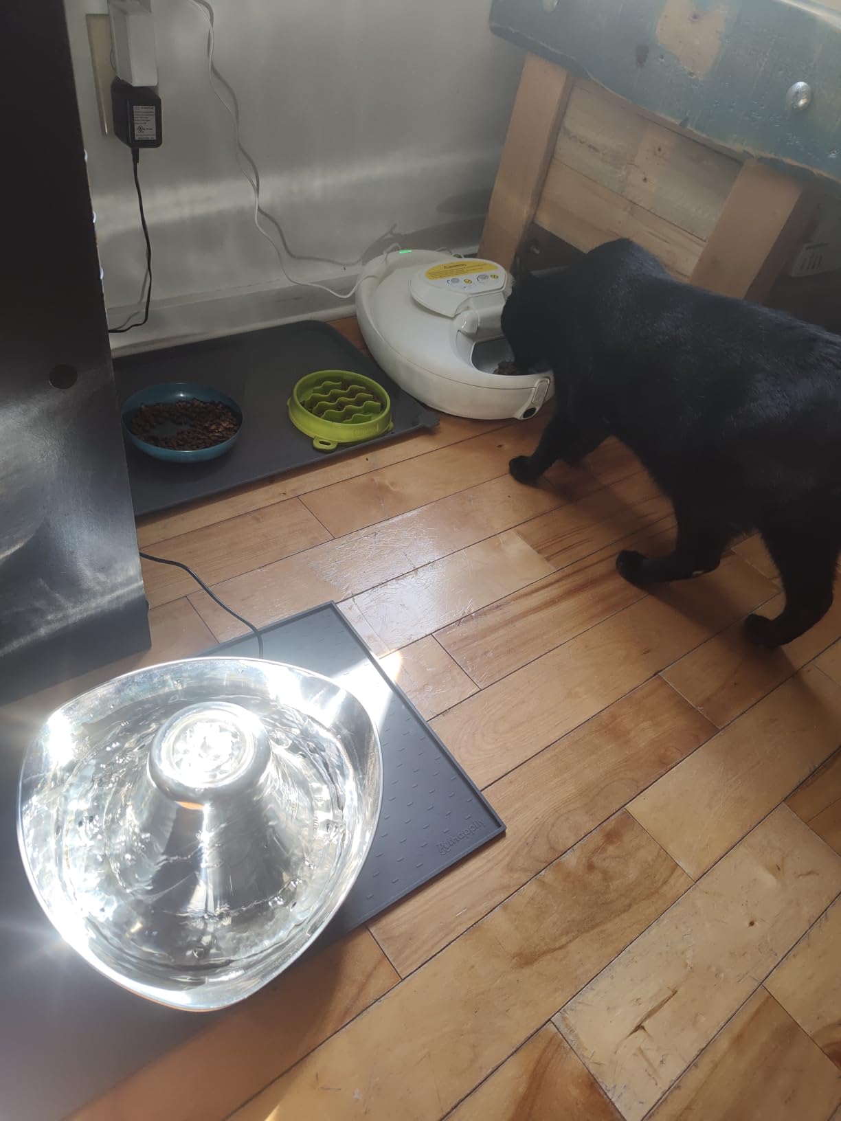 Automatic Wet Food Cat Feeder, 24H Food Freshness Smart Dual‑Temp Refrigerated Cat Feeder with Semiconductor Cooling & Pre‑Heating, App‑Controlled, Easy to Clean, 4‑Day Feeding Schedule customer photo 2