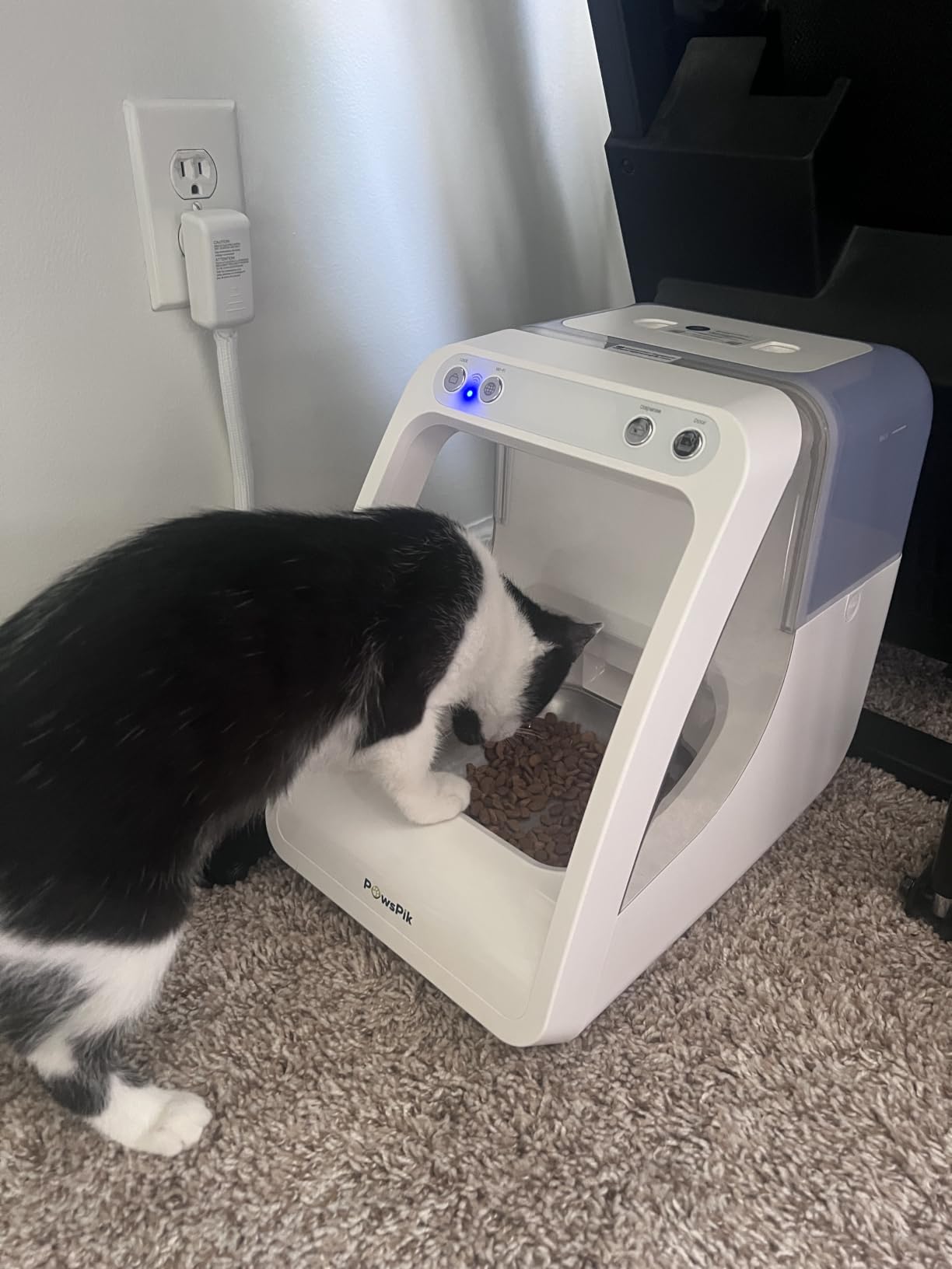 PawsPik Automatic Microchip RFID Cat Feeder, 16-Cup, White customer photo 2