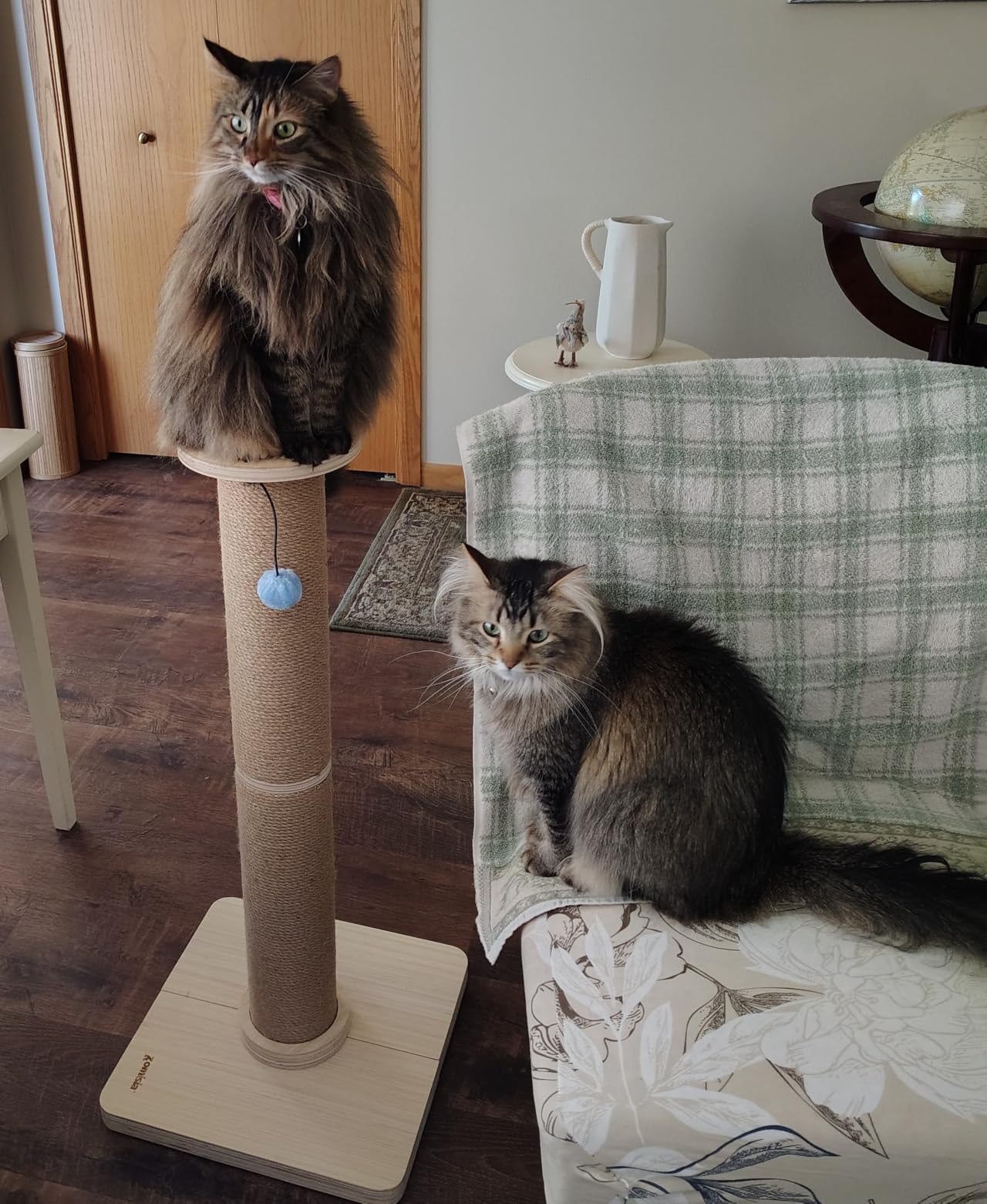 ZOMISIA 35'' Tall Cat Scratching Post for Indoor Cats Adults customer photo 2