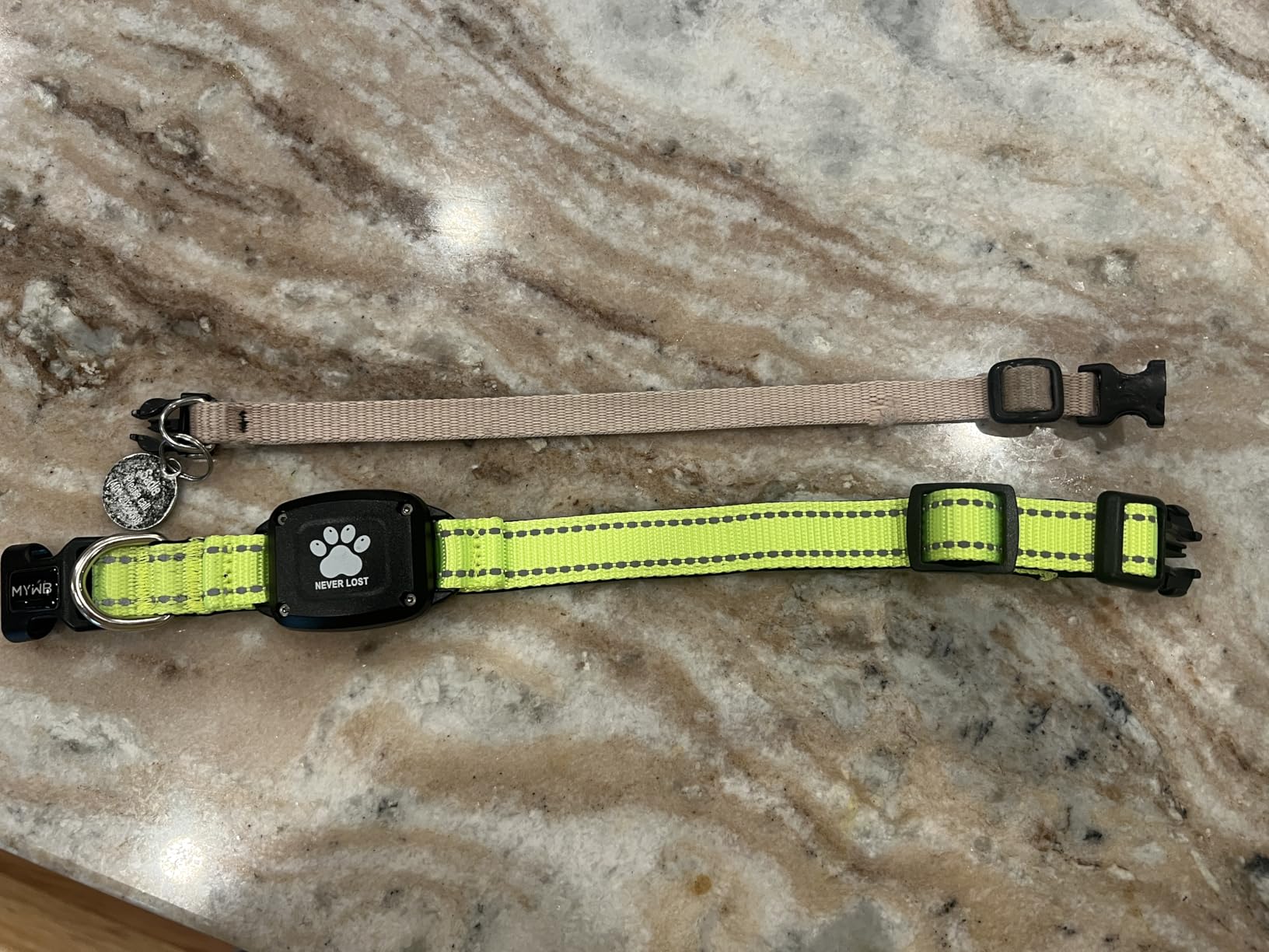 GPS Dog Collar with Tracker, Waterproof, No Monthly Fee, Blue, L customer photo 1