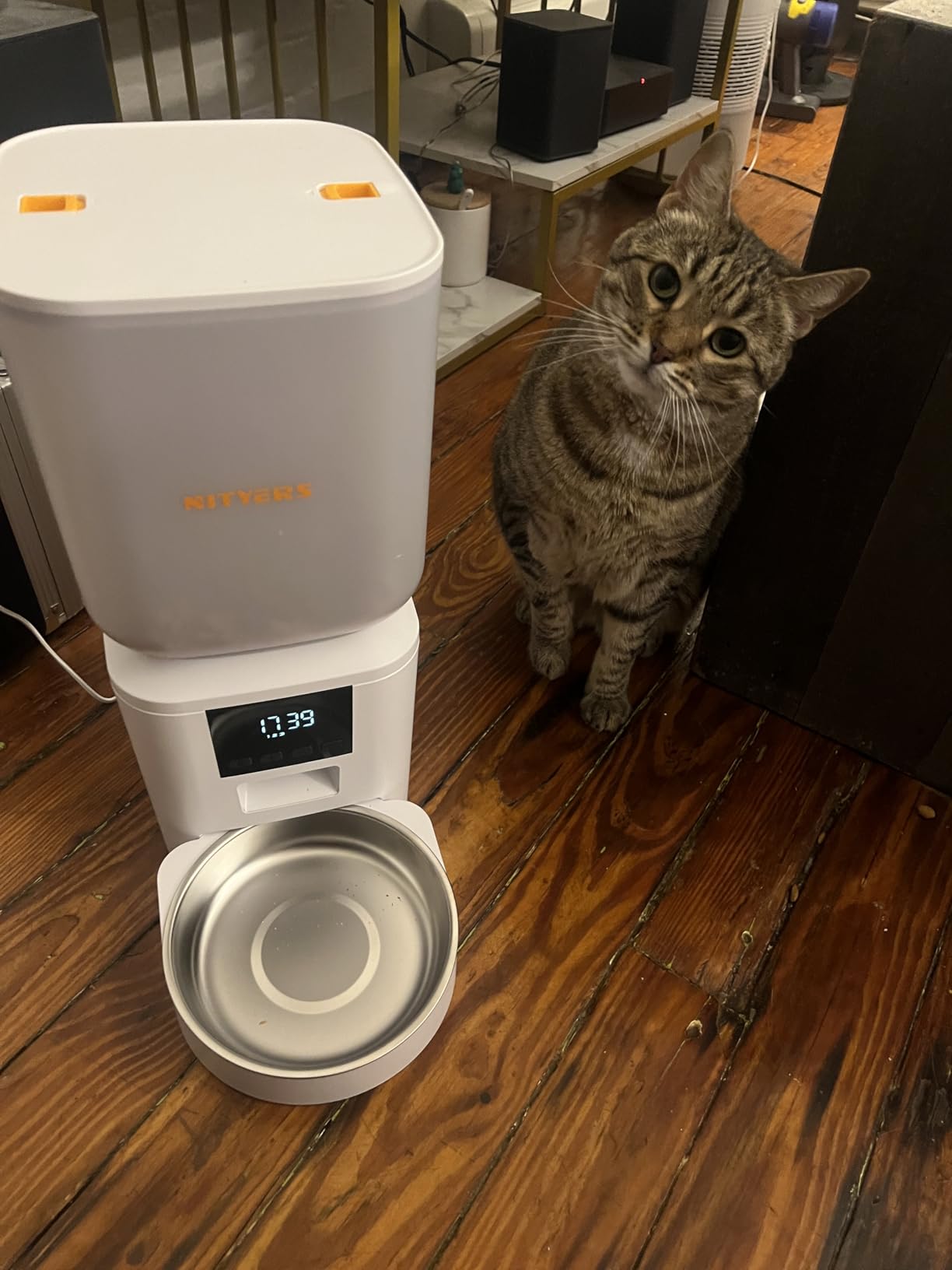 Automatic Cat Feeder for 2 Cats - 8L/34 Cups Dual Automatic Dog Feeder with Dog Food Dispenser for 2-18mm Dry Food, Timed Cat Food Dispenser, Up to 50 Portions 6 Meals Per Day, 10s Voice, Keep Fresh customer photo 2