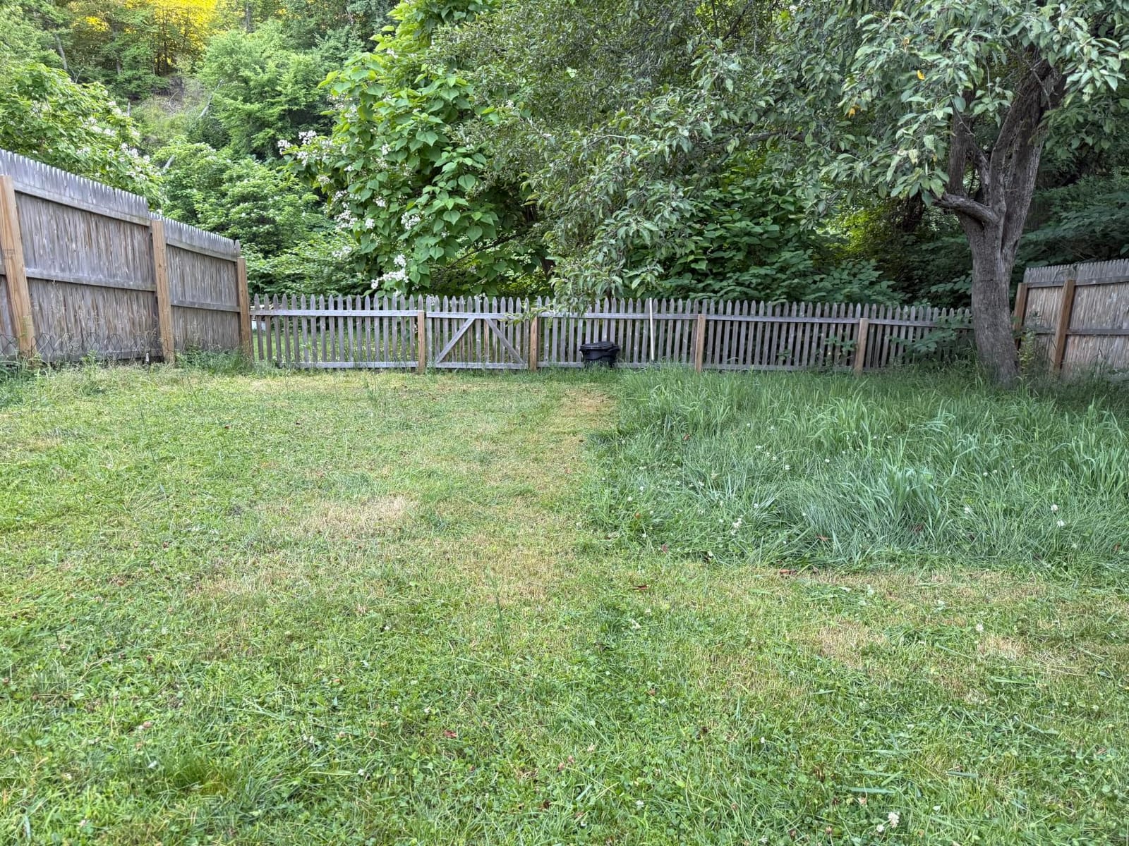 LawnMaster 20” 5-Blade Push Reel Lawn Mower – LMRM2001 customer photo 1