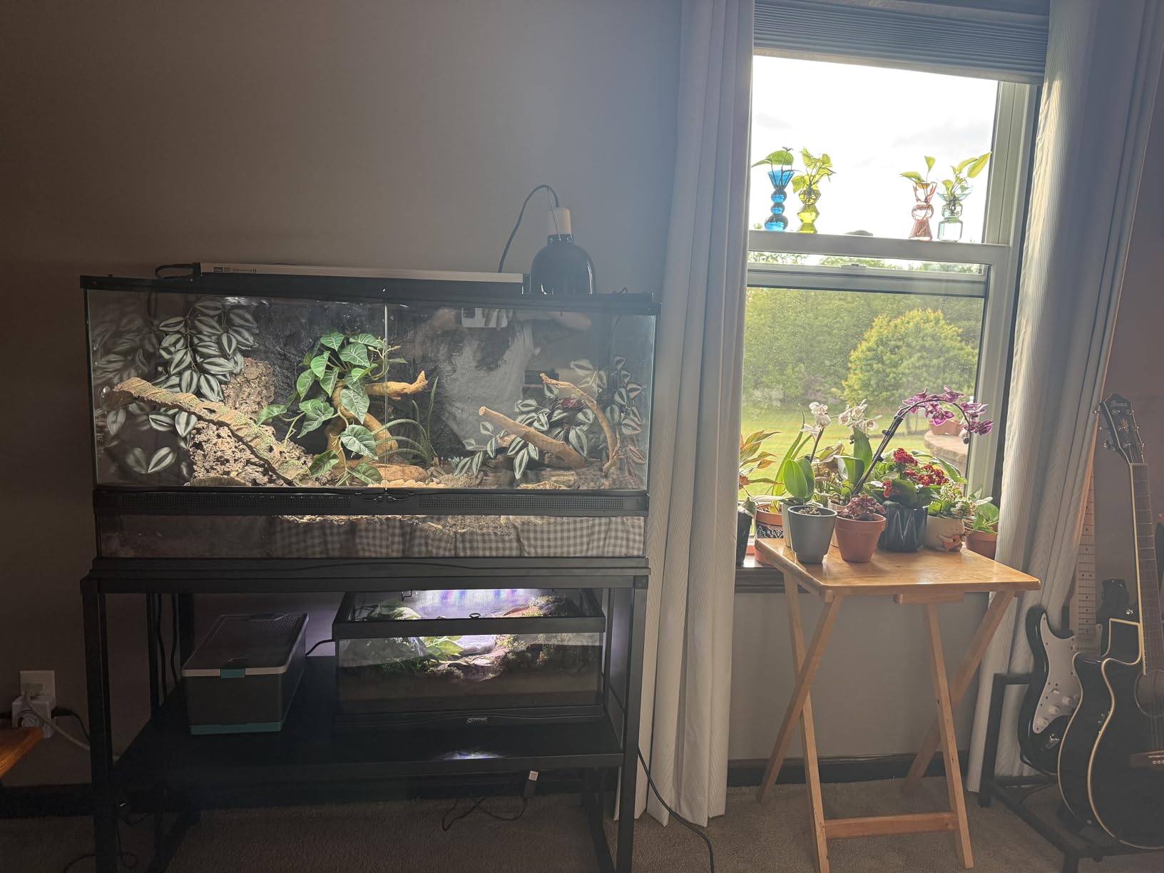 TOCRETOARE Fish Tank Stand 55-75 Gallon, Metal Aquarium Stand, 48.5