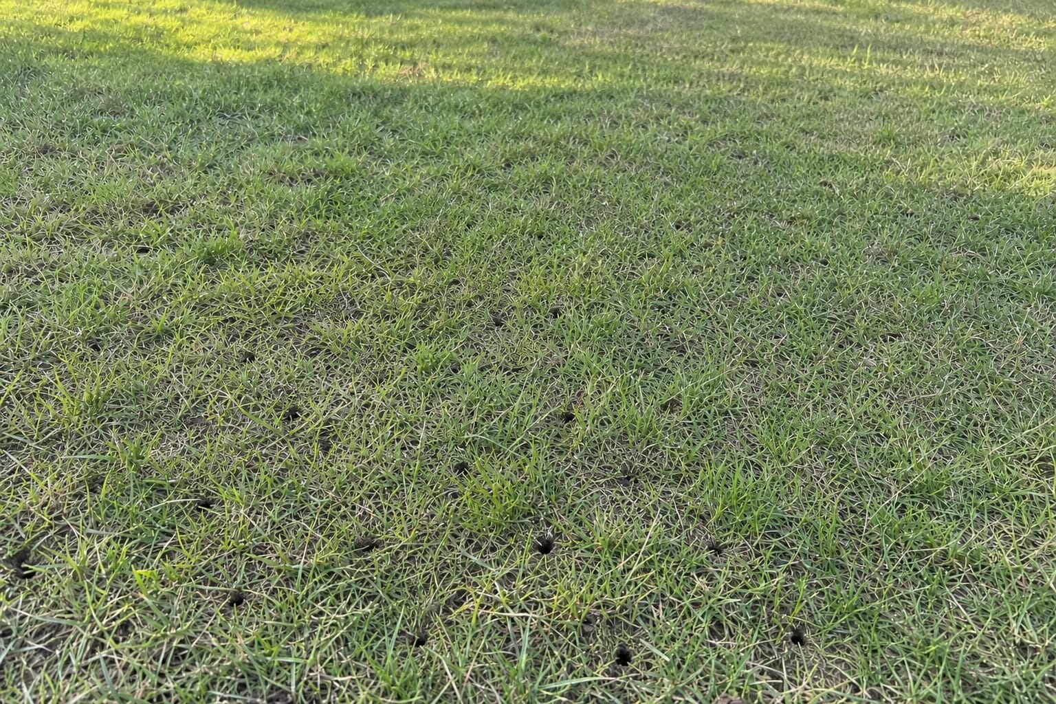 Tow-Behind Plug Aerator, 48-Inch Lawn Aerator for Tractors, 8'' Tires customer photo 1