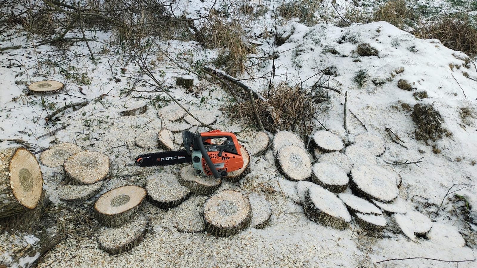NEO-TEC 62cc 20 Inch Gas Powered Chainsaw 2-Cycle Petrol 3.5HP Handheld Reliable Motosierra De Gasolina for Tree Pruning Wood Cutting Firewood Preparation and Yard Maintenance customer photo 2