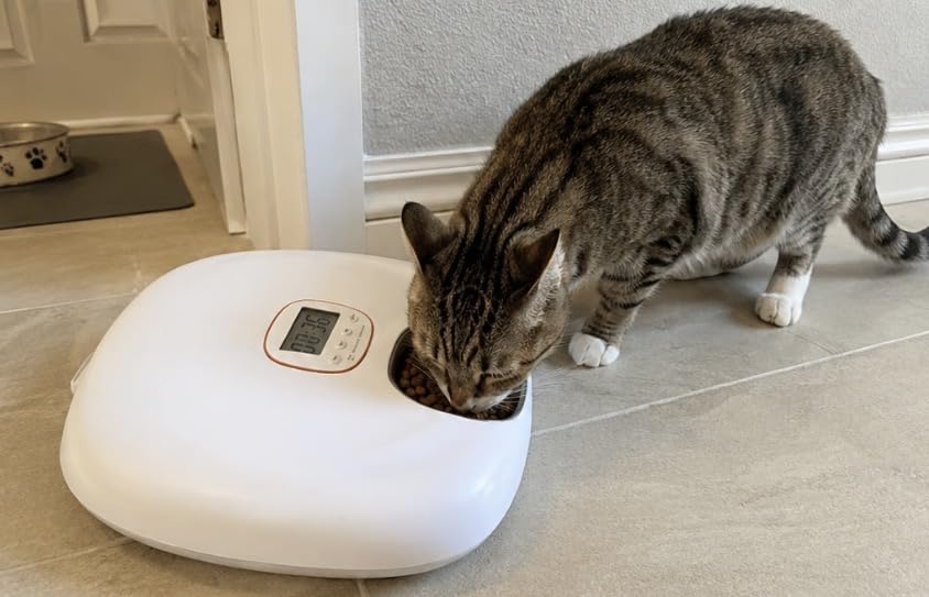 Automatic Cat Feeder Wireless, Sharper Image Auto Cat Food Dispenser for Wet Food with 4 Ice Packs, Rechargeable Auto Feeder for Cats with Programmable Timer Low Battery Indicator, White customer photo 2