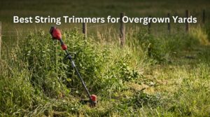 Best String Trimmers for Overgrown Yards