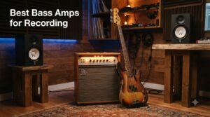 Best Bass Amps for Recording