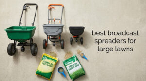 best broadcast spreaders for large lawns